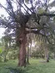 Picture 002.webp