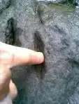 281347_profile_633587701940000000.webp