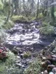 Picture 004.webp