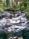 Picture 003.webp