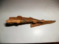 Relics found near carliele sc 004 (Medium).webp