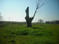 ehh 006.webp