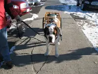 christmas 2008 001.webp