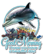 GoodMorningDolphin.gif