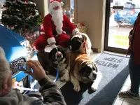 christmas 2008 026.webp