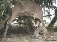 !cid_72AA46EC-3A7F-458E-98CE-E9EF8E71F8FD.webp