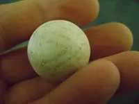 marble1.webp