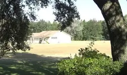 CIMG0773.webp