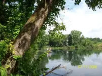 lake view.webp