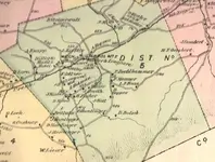 !!!!DIST5.webp
