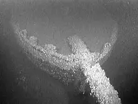 1_61_121308_schooner_wreck.webp