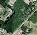 Woods.webp