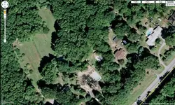 woods2.webp