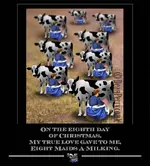 8-maids-a-milking.webp