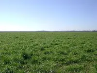 DSC00924.webp