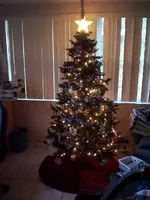 christmas tree 08.webp