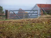 100_2099.webp