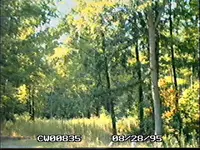 !!!!CW008035.webp