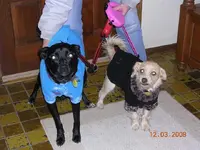DSCN2935.webp