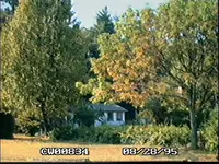 !!!!CW008034.webp