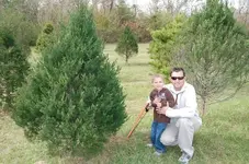 j and k tree.webp