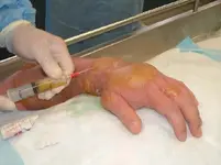BLISTERAGENT.webp