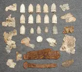 day 3 finds.webp