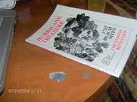 IM000729.webp