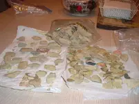 pieces1.webp