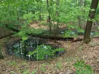 vacation photos 030 (576 x 432).webp