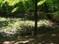 vacation photos 031 (576 x 432).webp