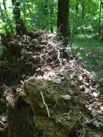 vacation photos 033 (432 x 576).webp