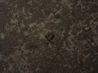 DSCN0120.webp