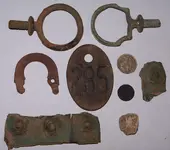 wed finds.webp