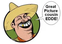 ed.webp