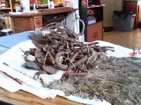 !cid__1117081619.webp