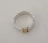 4th ring 001.webp
