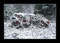 car.webp