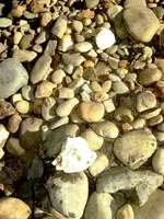 tailings84.webp