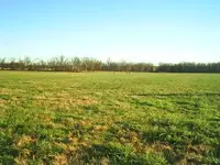 S3012792.webp