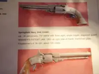 gun page.webp