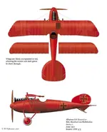 Albatros_DV1177-17.webp