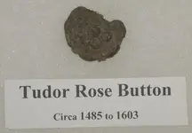 tudor rose button.webp