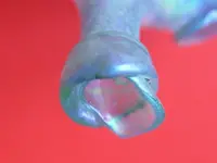 Spout.webp