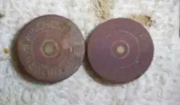 12 gauge.webp