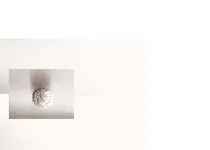 what is it.webp