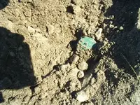 unknown coin.webp