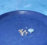 Gold from Galice.webp