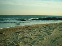 trapbeach.webp