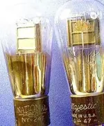 Bulbs_WEB.webp